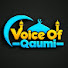 88ZoJ_nYJOs-channel-avatar-Voice of Qaumi