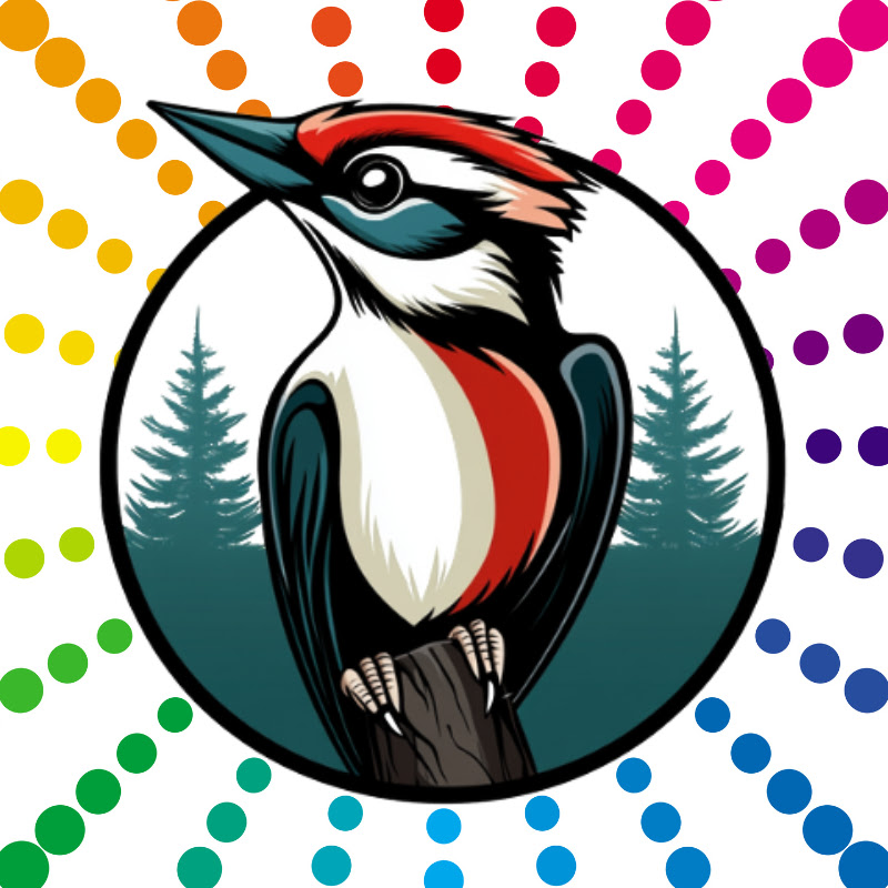 Woodpecker Quiz