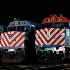 Nick the Train Man 