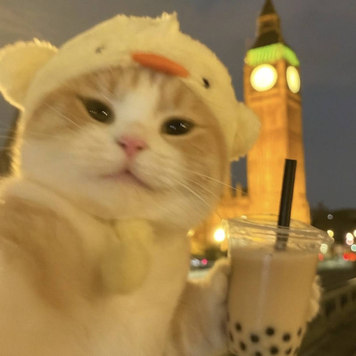 Post from Catherine Ren