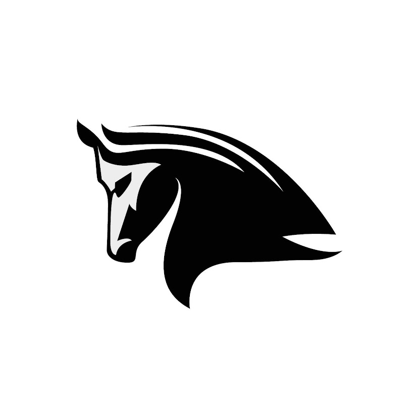 Stampede Network