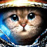 t2hnSNXGS7s-channel-avatar-NetWitch