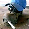 Автор