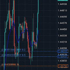 Bluebird Forex Academy 