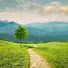 BT0uTjQRXy8-channel-avatar-NIRWANAYA AWABODAYA(නිර්වානය අවබෝධය )