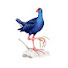 U2oPf-AB_P0-channel-avatar-Bos Mandar RaWa