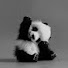 UpN7zsaoW78-channel-avatar-ImaPanda