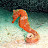 @PapaT_757 Avatar