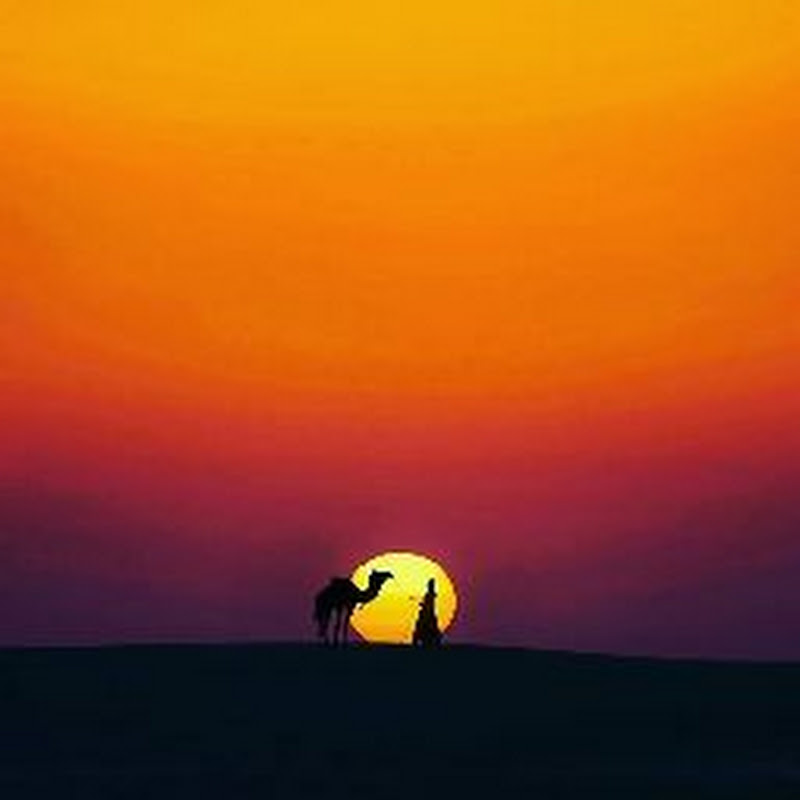 Desert Golden eagle Camp-