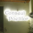 tufVgRdSDys-channel-avatar-Conacul Poetilor
