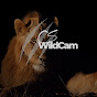 CS-WildCAM logo