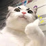 LnmljFRM8qU-channel-avatar-Meme con mèo