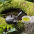 K6fq07OoLdM-channel-avatar-Figuring Out in Rural Japan | Tea & DIY