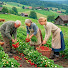3N2rNJYOMiA-channel-avatar-Village Garden