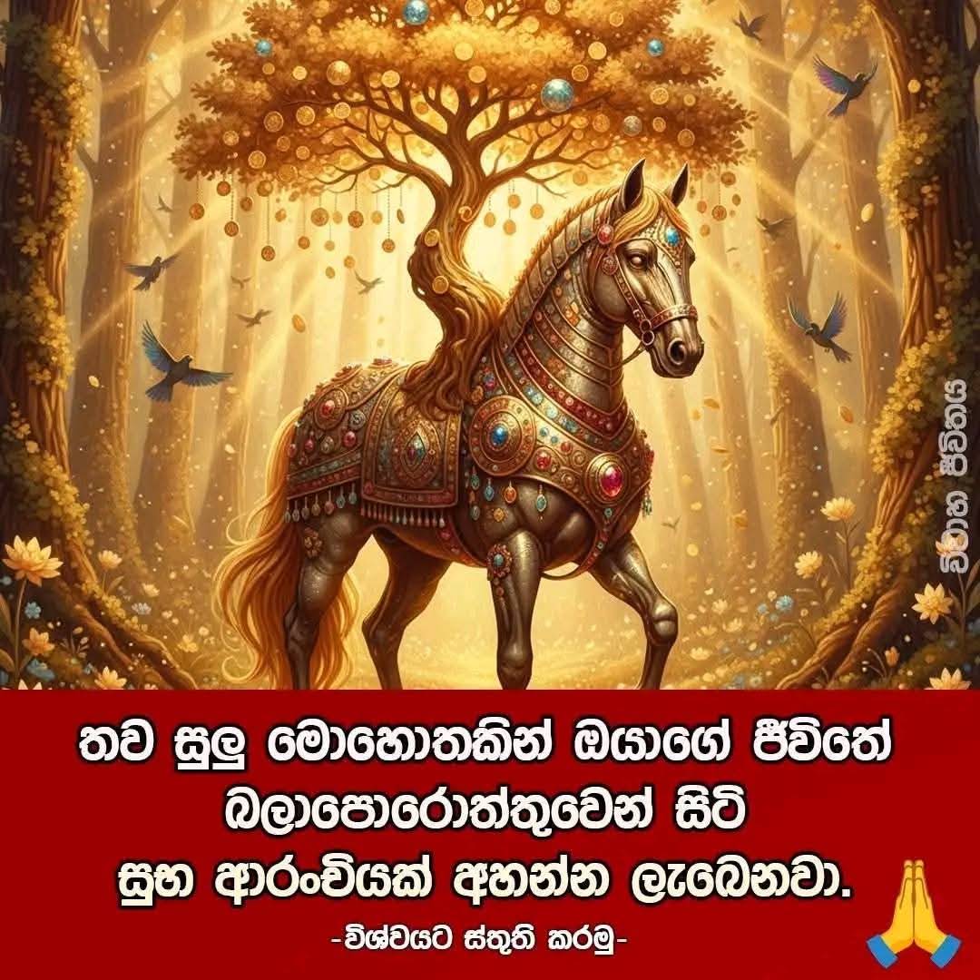 Post from Ayale 1111