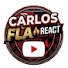 K3zL0vQ0ZD0-channel-avatar-Carlos FLA React 