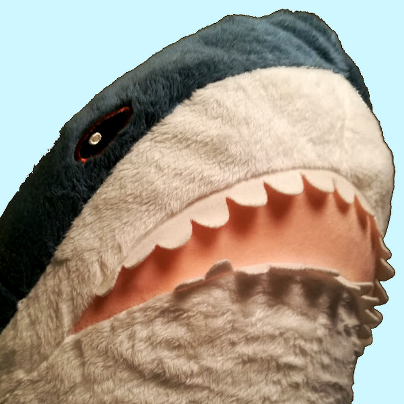 Shark3143