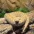 @Snake_Keeper