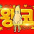 스트리머왕코