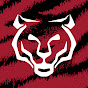 Cerveja Tigra YouTube channel avatar
