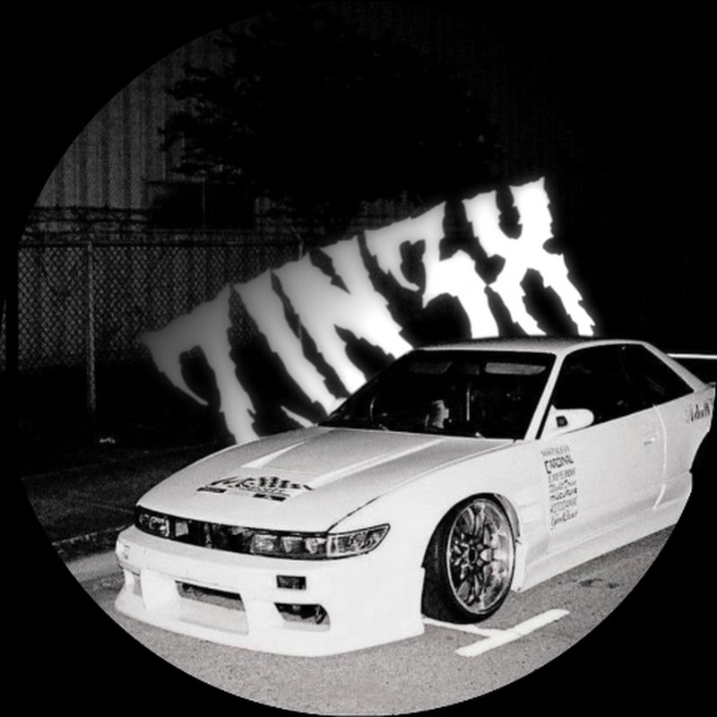 ZIN3X
