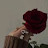 @غيمة.8116