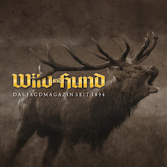 WILD UND HUND