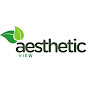 Aesthetic view logo