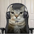 J29FvgAq1XM-channel-avatar-Miaou Reddit