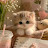 @malak142-y6f