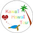 TaDOeRgl4Bc-channel-avatar-KAWAII HAWAII TV