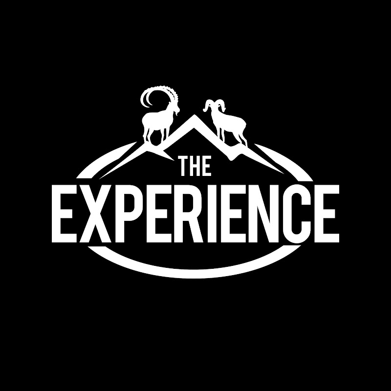 The Experience icon
