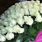 @somebody1976yu