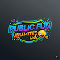 Public  Fun Ltd logo