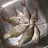@Fauzi91-t1h's avatar