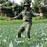 KBLvj40Z-AI-channel-avatar-AIM Agriculture Farm