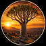 vedAhtiWoCM-channel-avatar-Desert Intelligence