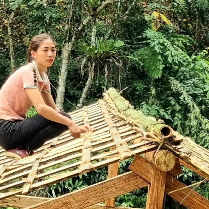 Triệu Thị Hây Logo