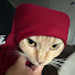 tF7APasp6_8-channel-avatar-Strawbunipeach