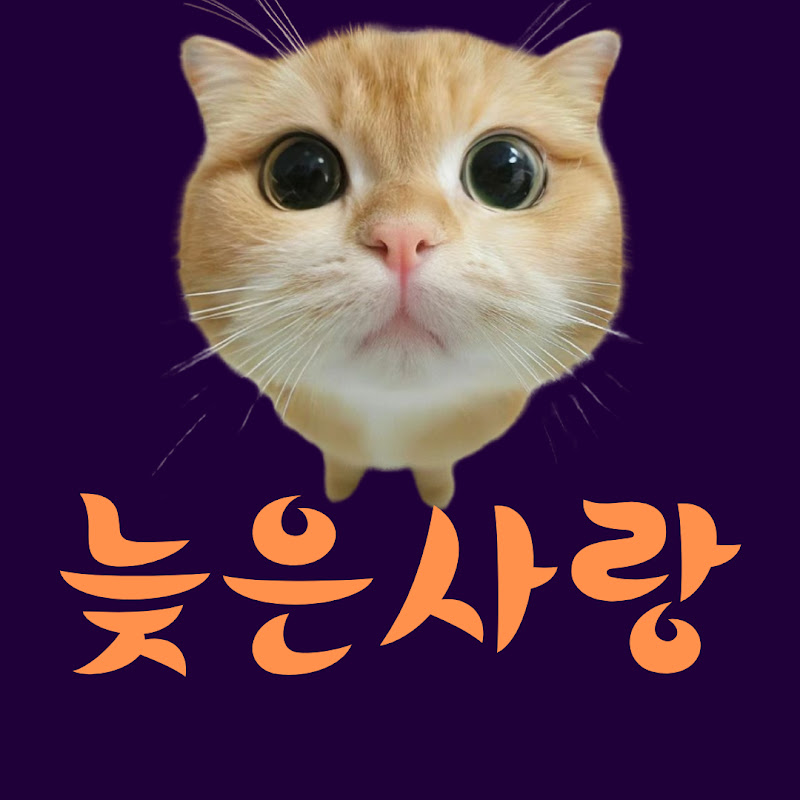 늦은사랑