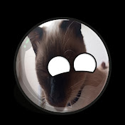 el michi random