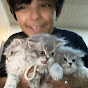 Wesam and kittens 