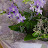 @grace-kr5db
