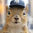 @PaulSquirrelsNYC