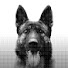 HmnlL1C0uwM-channel-avatar-КЛУБ СОБАЧЬЕГО СПЕЦНАЗА KACKAД