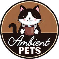 Ambient Petsの画像