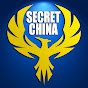 China Revealed logo