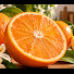 1XD1a4IkbOU-channel-avatar-Lecker mit Rous