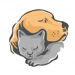 Living The Animals avatar