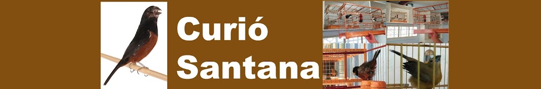 CuriÃ³ Santana YouTube kanalı avatarı